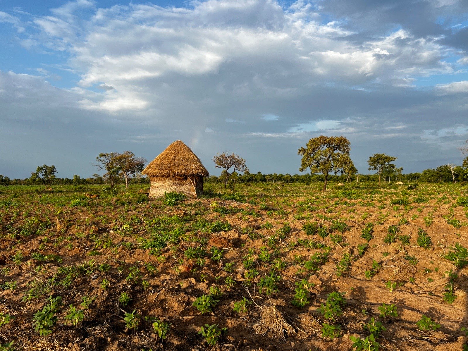 Charity status and beneficiaries